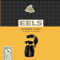 Ordinary Man - Eels