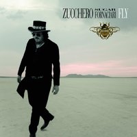 Shine - Zucchero