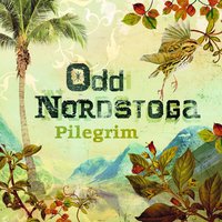 Ser deg no - Odd Nordstoga