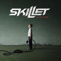 Falling Inside the Black - Skillet
