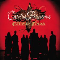 Dulcissima - Corvus Corax