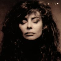 Gli ultimi fuochi - ALICE