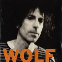 Wastin' Time - Peter Wolf
