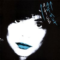 Animali D'America - ALICE