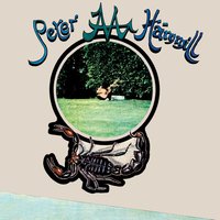 What's It Worth? - Peter Hammill