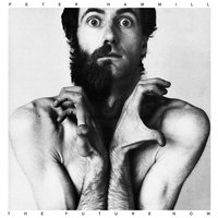 Pushing Thirty - Peter Hammill