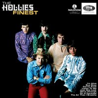 Amnesty - The Hollies