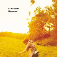 He's Building A Swamp - Ed Harcourt
