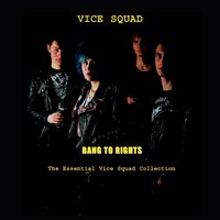 Stand Strong Stand Proud - Vice Squad