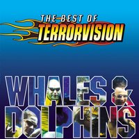 My House - Terrorvision