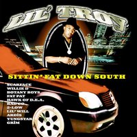 Diamond & Gold - Lil Troy, Lil' Will
