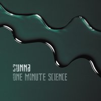Insanity Pulse - Sunna