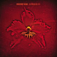 Message in a Bottle - Machine Head