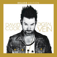Carry You - David Cook