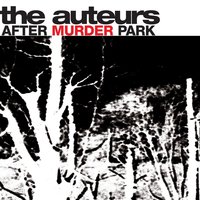 Land Lovers - The Auteurs