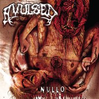 Voracious Backpacker - Avulsed