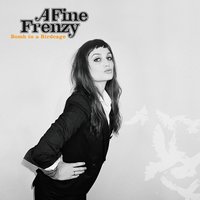 Stood Up - A Fine Frenzy