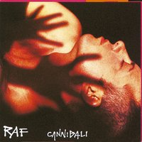 Il canto - Raf
