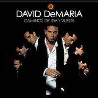A media voz - David DeMaria