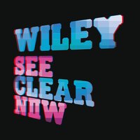 Ryder Intro - Wiley