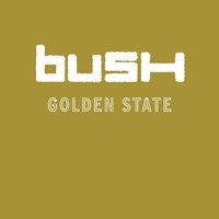 Reasons - Bush