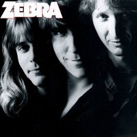 Slow Down - Zebra