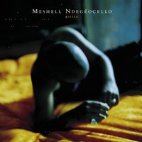 Wasted Time - Meshell Ndegeocello
