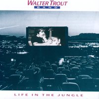 Cold Cold Feeling - Walter Trout