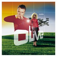 Beyond the Fray - Olive