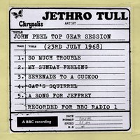 So Much Trouble (John Peel Top Gear Session) - Jethro Tull