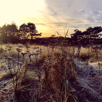 By Your Side - Ane Brun