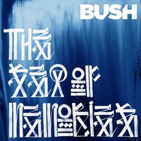 All Night Doctors - Bush