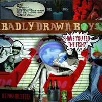 Using Our Feet - Badly Drawn Boy