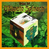 Mind Flowers - from "Behold & See" - Ultimate Spinach