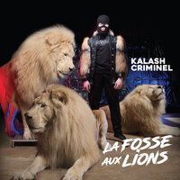 Fatality - Kalash Criminel