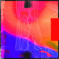 Lost Frequency - Transviolet, The Swoons