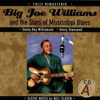 Blue As I Can Be - Tommy McClennan - Big Joe Williams