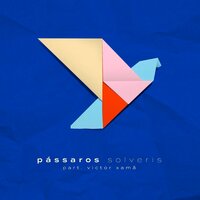 Pássaros - solveris, Victor Xamã
