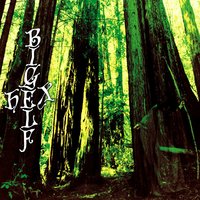 Rock & Roll Contract - Bigelf