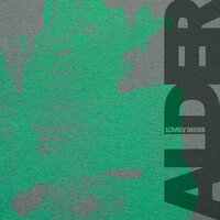 Alder