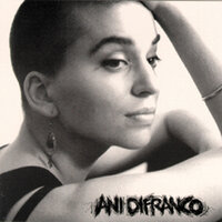 Pale Purple - Ani DiFranco