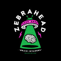 I Won’t Let You Down - Zebrahead