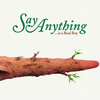 Say Anything