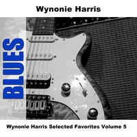 Straighten Him Out - Wynonie Harris