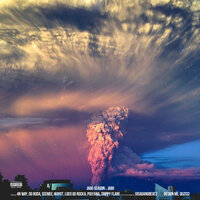 Mufasa - Trippy Flare, Polyana, JABO