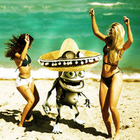 Cotton eyed joe - Crazy Frog