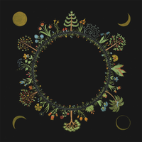 The Fire - Laura Stevenson