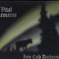 Under The Moon's Fog - Vital Remains