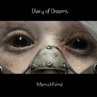 Killers - Diary of Dreams