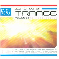 Beauty Never Fades(12 Inch Cut) - Tom Holkenborg aka Junkie XL, Saffron